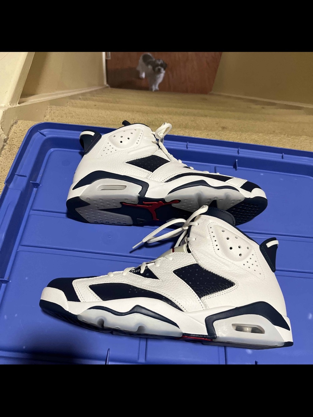 Nike Air Jordan 6 Retro Olympic Midnight Navy White CT8529-164 Men's Size 13